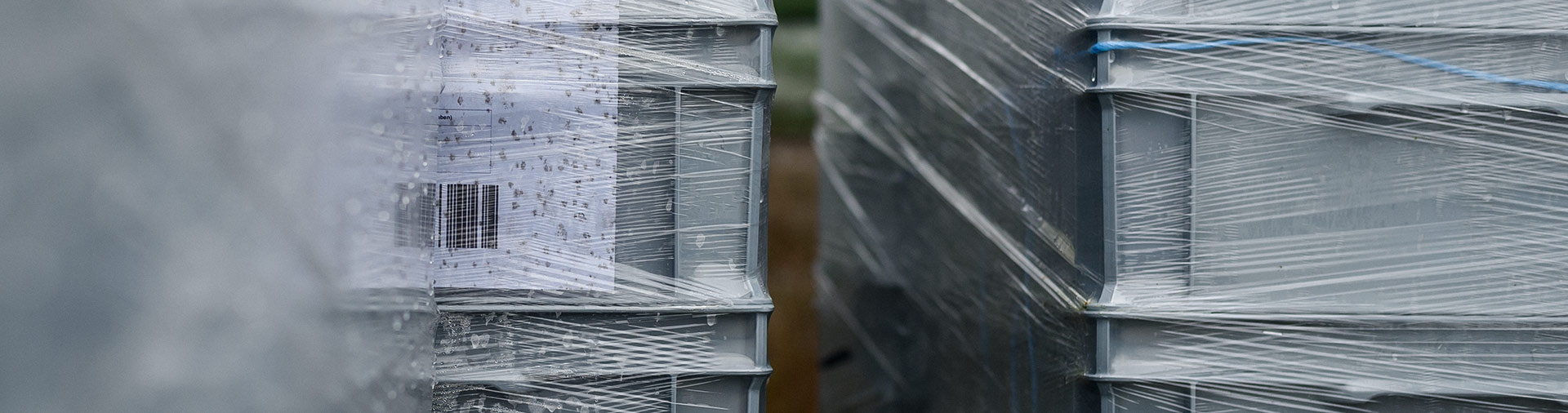  Photo Storage Systems